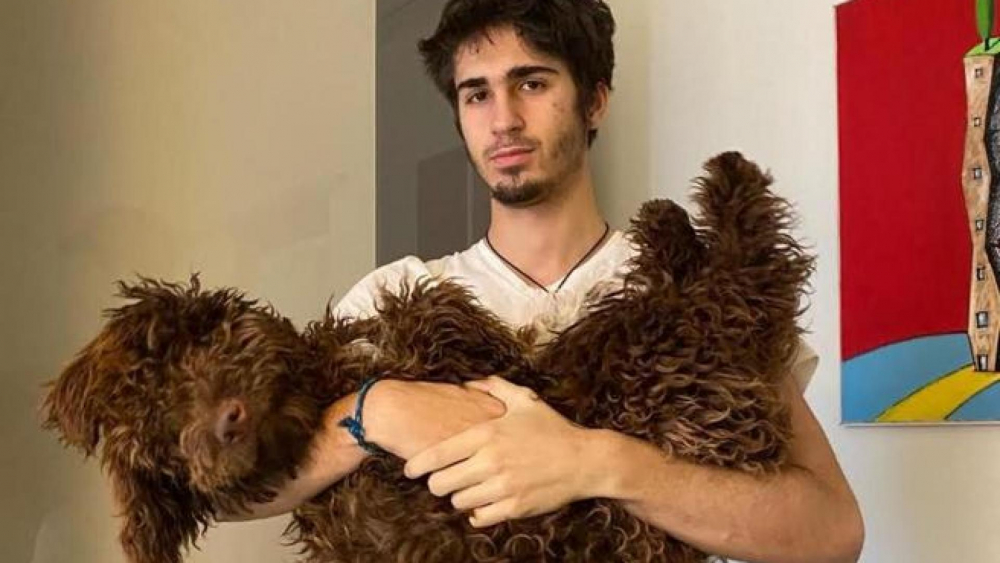 Не е за вярване: Токов удар уби сладко кученце в Милано, стопанинът му ще... 