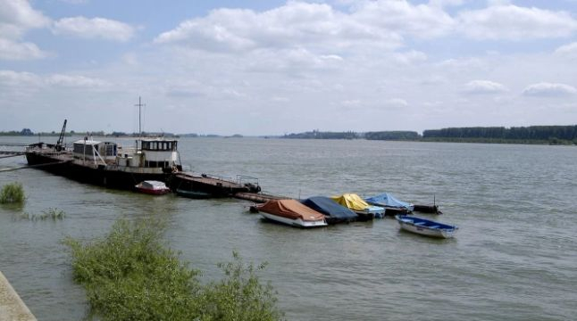 Пенсионер отиде с такси на брега на Дунав, но след 30 мин. шофьорът откри трупа му!
