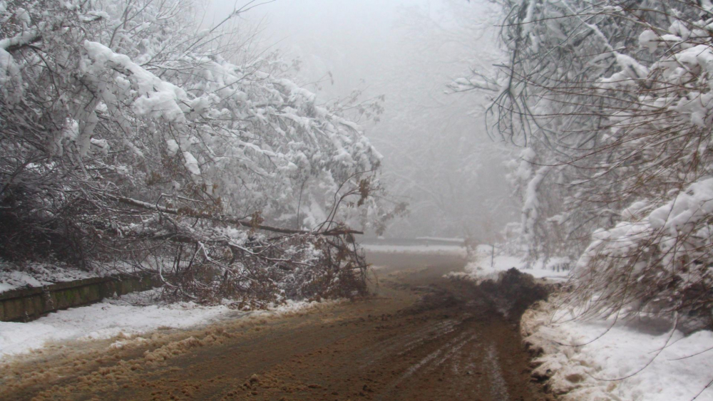 Снегокалипсис в Шуменско! Снегът троши наред, пътищата са блокирани СНИМКИ 