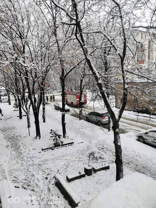 Снежен ад във Видин, изпочупени са дървета и стълбове СНИМКИ