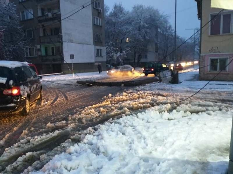 Снежен ад във Видин, изпочупени са дървета и стълбове СНИМКИ