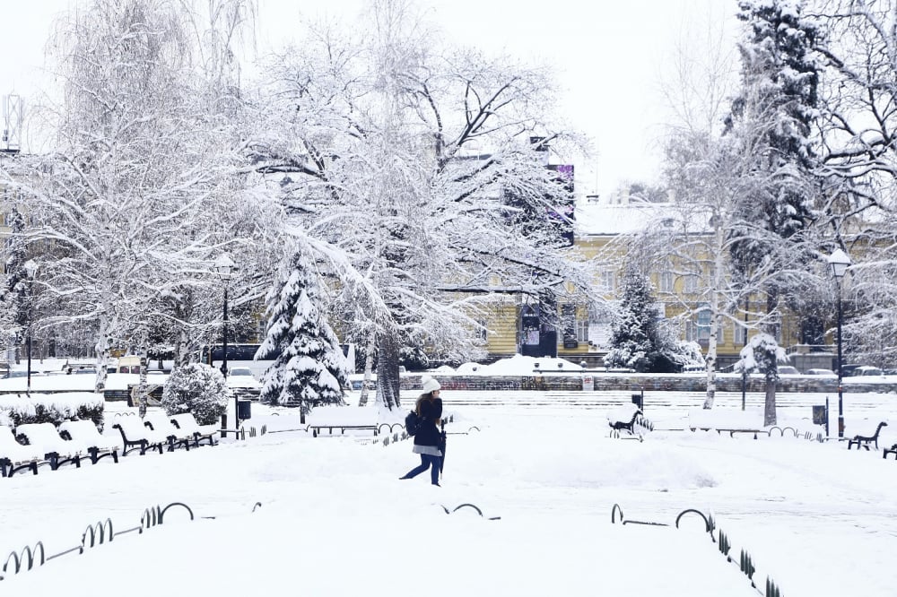 От "Метео Балканс" огласиха къде в България ще натрупа 13 см сняг във вторник КАРТИ