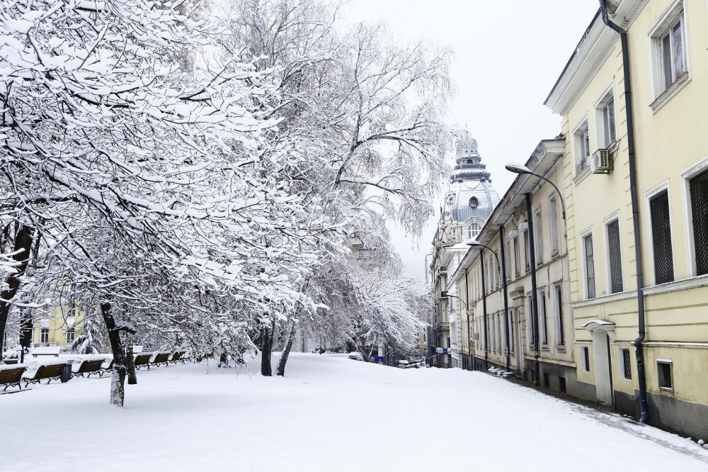 "Метео Балканс" бие аларма: Снеговалежи започват в 3 части от България КАРТА