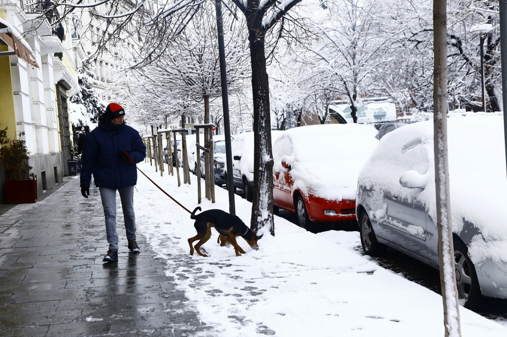 Арктически студ и сняг сковават цяла България съвсем скоро