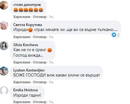 Чудовищна жестокост към бездомни кучета в Родопите взриви мрежата СНИМКИ 18+