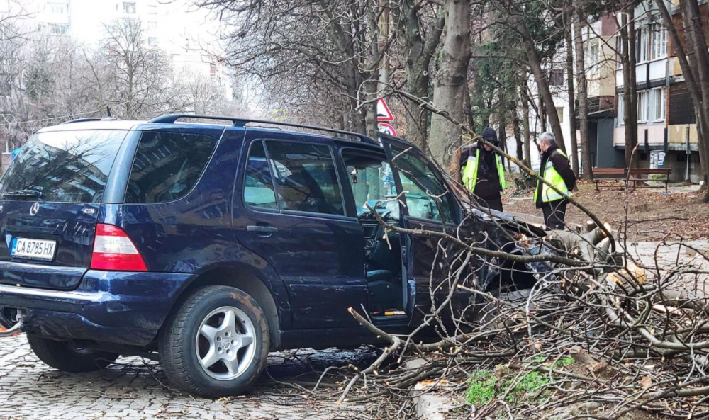 Шофьорът, забил се в дърво в София, направил още куп поразии СНИМКИ 