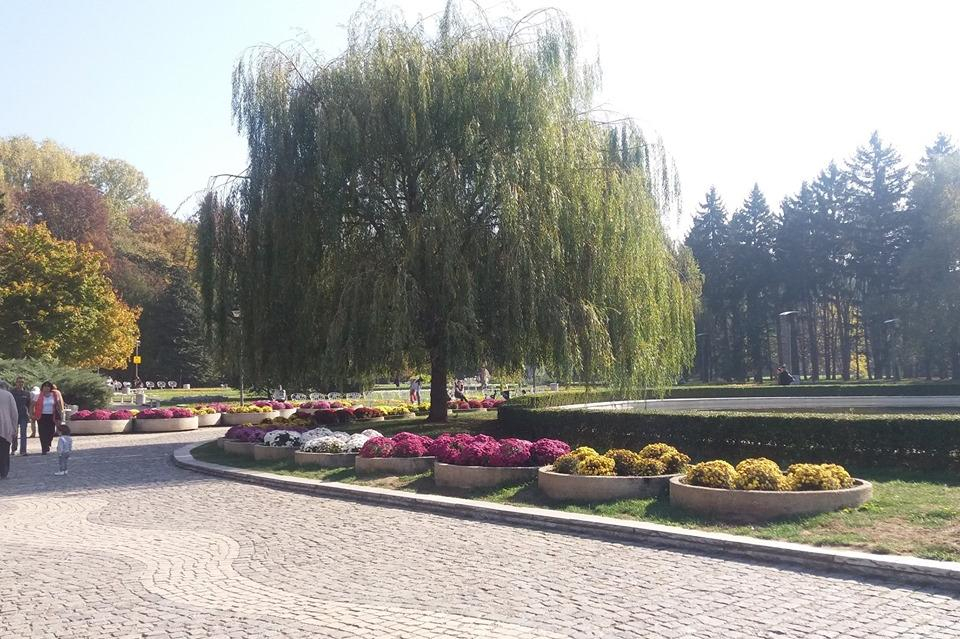 Масова сеч в Южния Парк в София