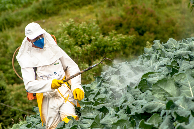 Вижте какво причиняват пестицидите на тялото ни