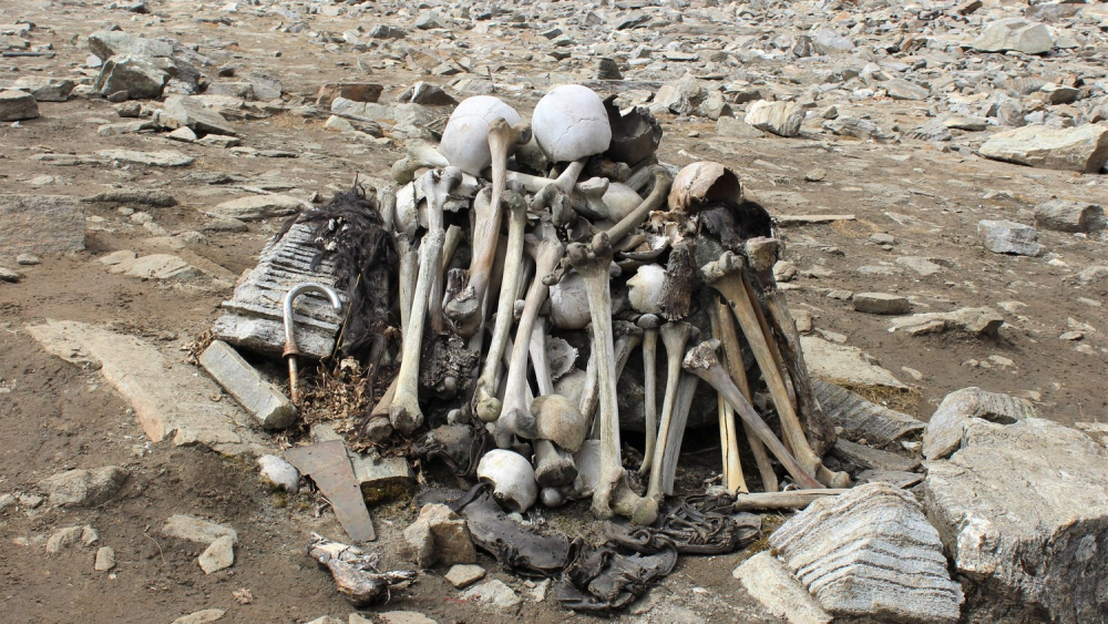 Анализ на човешки скелети, открити в близост до хималайско езеро, втрещи учените