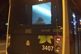 Сигнал до БЛИЦ! Зрелищен екшън в автобус в София шокира пътниците 