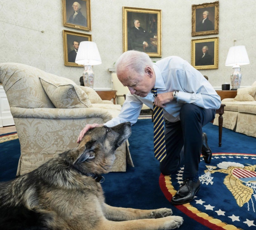 Байдън изпроводи кучетата си от Белия дом заради опасна агресия
