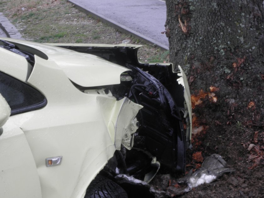 Кола се заби в дърво в Благоевград СНИМКИ