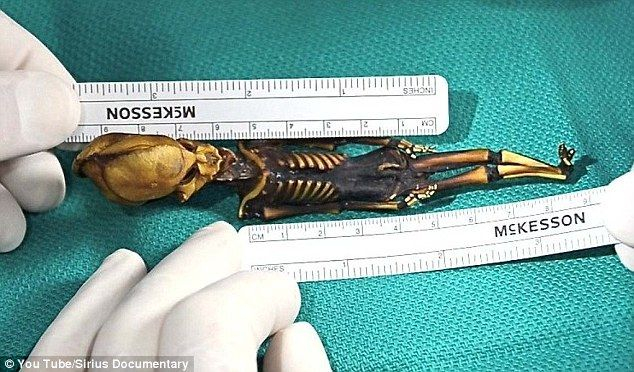 Биолози разбулиха страшната тайна на мистериозната извънземна мумия СНИМКИ