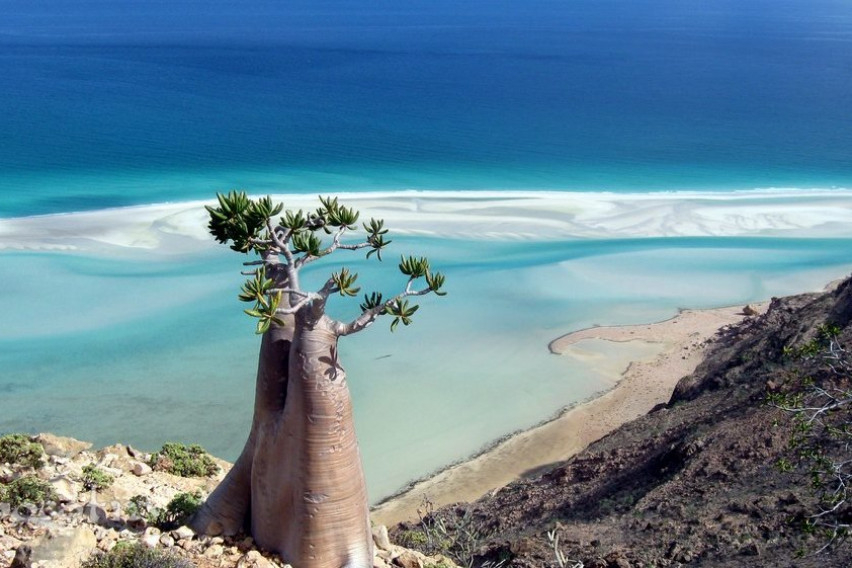 Остров Сокотра е истински рай на земята