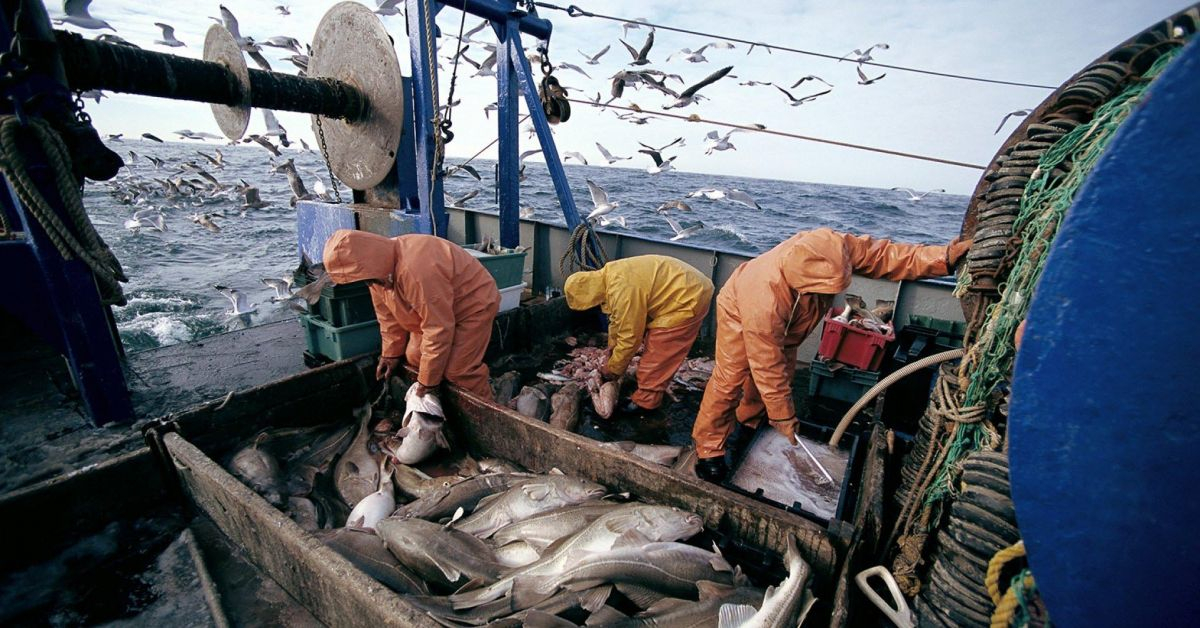 Голяма трагедия сполетя бургаските рибари и най-скъпата им стока