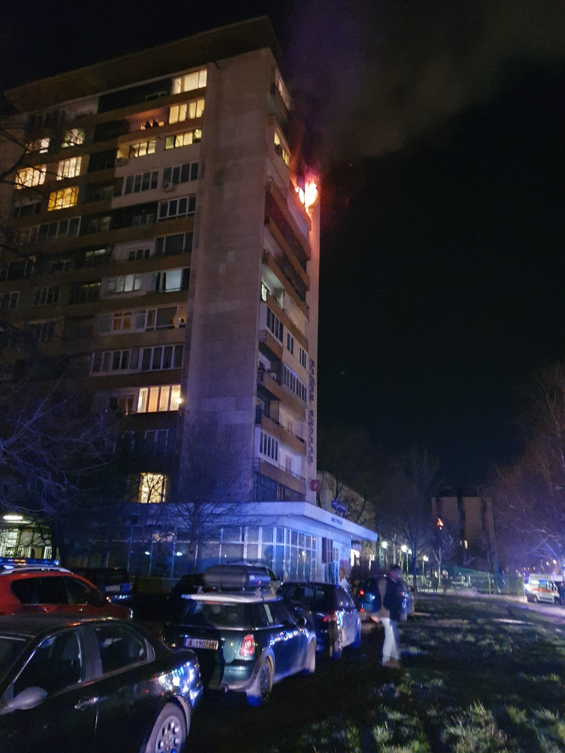 Покъртителна трагедия: Куче оцеля след скок от горящ апартамент на 11 ет. в София, а стопанката му...