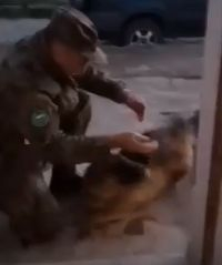 Трогателна среща между военен от контингента ни в Афганистан ​и кучето му просълзи мрежата ВИДЕО 