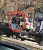 Шок! Паяк вдигна кола с дете в Плевен СНИМКИ