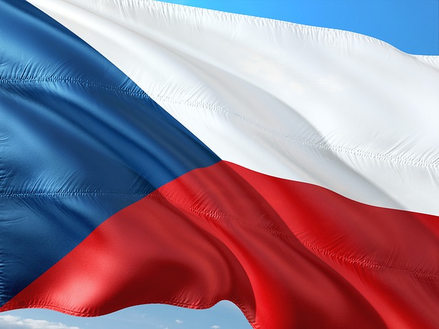 Чешкият сенат се кани да обвини Милош Земан в държавна измяна