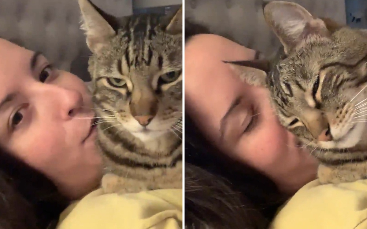 Реакцията на котка към нейната собственичка трогна интернет ВИДЕО