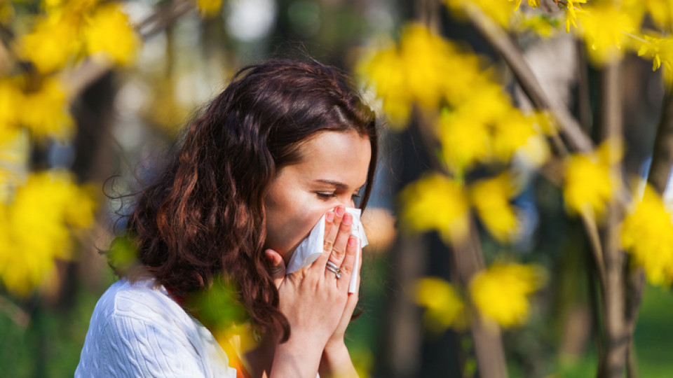 Сезонът на алергиите е открит, ето каква е опасността през следващата седмица