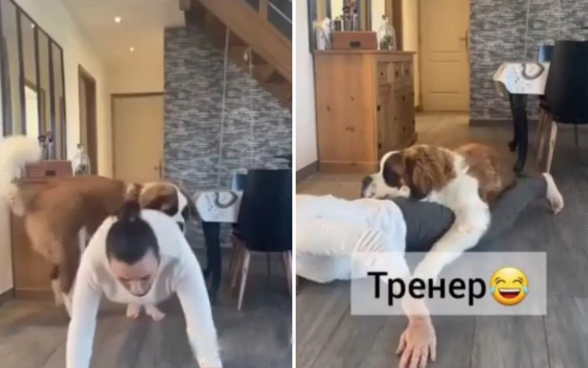 Куче показа на собственичката си най-ефективното упражнение ВИДЕО