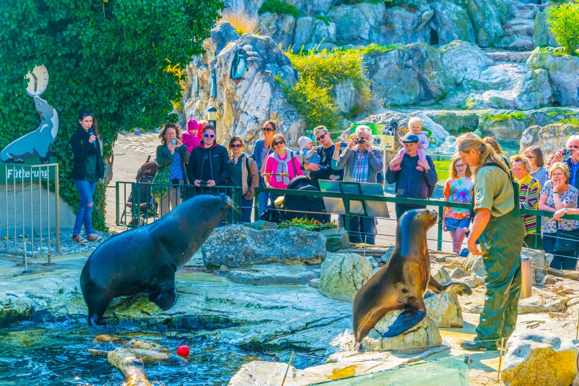 Кои са най-хубавите зоопаркове в Европа
