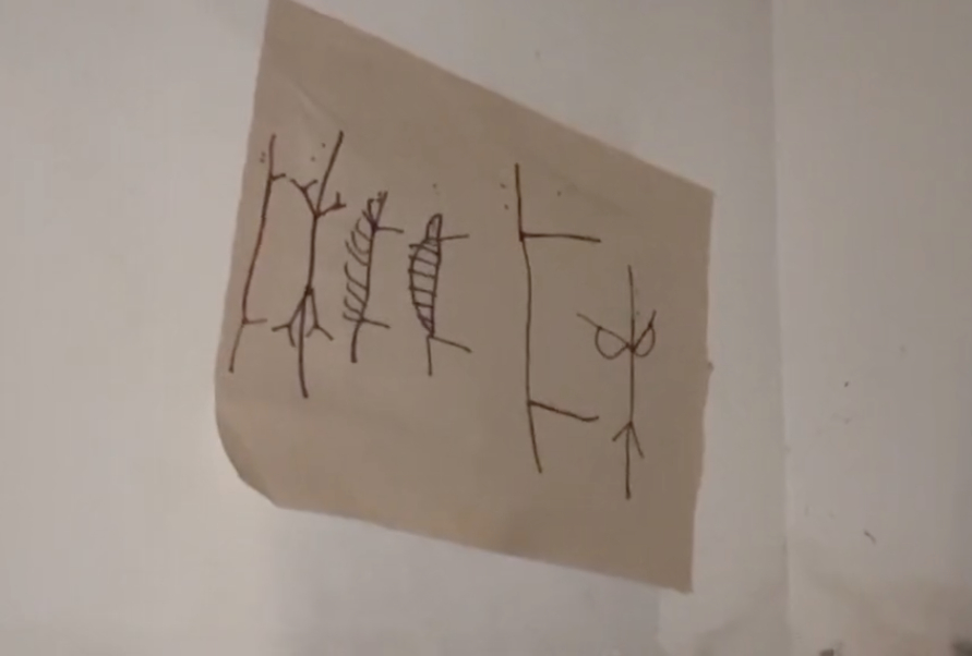 Мрежата ужасена: Момиче откри страшни символи зад шкаф в кухнята ВИДЕО 