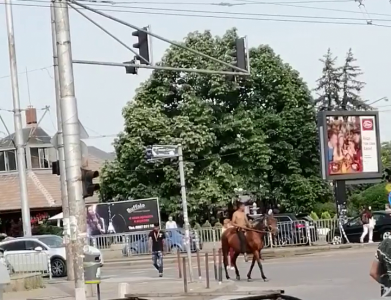 Мургав "принц" на кон кръстосва столицата ВИДЕО 