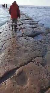Загадъчен каменен път внезапно изплува на брега на остров Сахалин СНИМКИ