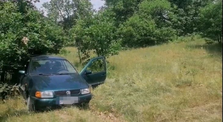 Билкар от Асеновград паркира Фолксвагена си в гората, а като се върна онемя СНИМКИ