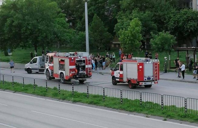 Кървав кошмар край автобусна спирка във Видин завърши с... СНИМКИ 