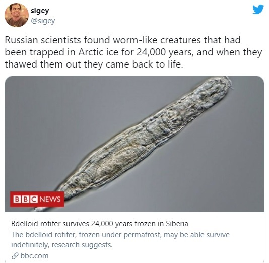 Невероятно! Учени съживиха същество, замръзнало преди 24 000 години