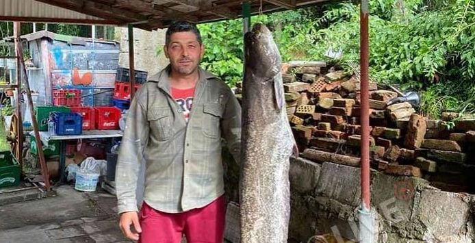 Димитровградчанин извади страшен звяр от река Марица СНИМКА 