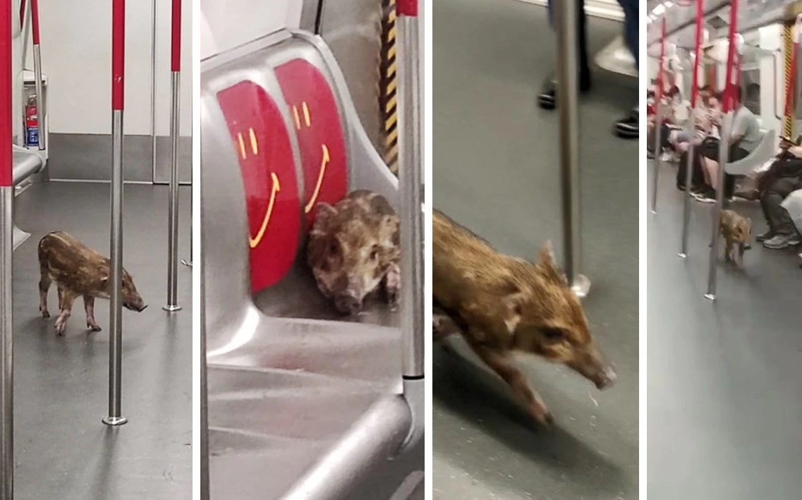 Бебе глиган се повози в хонконгското метро ВИДЕО