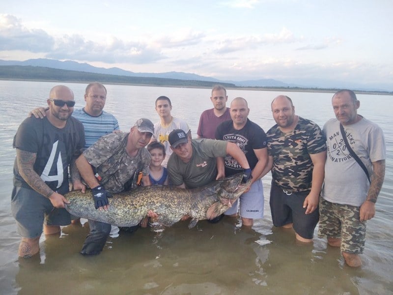 Рибари уловиха чудовище в язовир "Кисимови дупки", а последвалото е изненадващо ВИДЕО