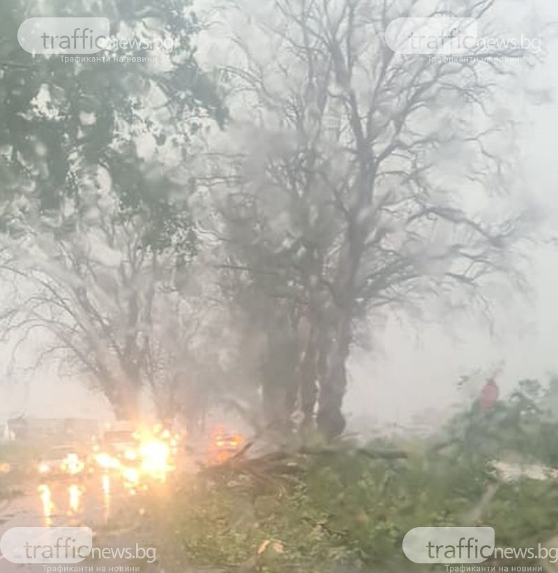 Шофьори бият аларма за страшен ад на пътя Пловдив-Пазарджик СНИМКИ 
