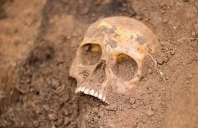 Щам от смъртоносна инфекция бе открит в древен череп