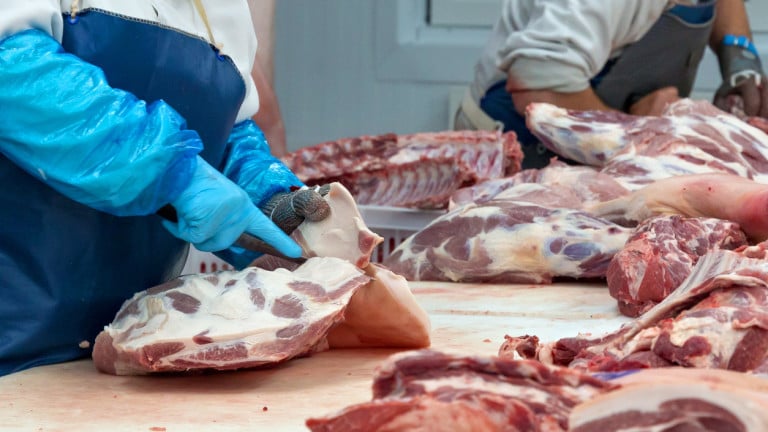 Четири категории на ужаса разкриха защо месото в Германия е евтино