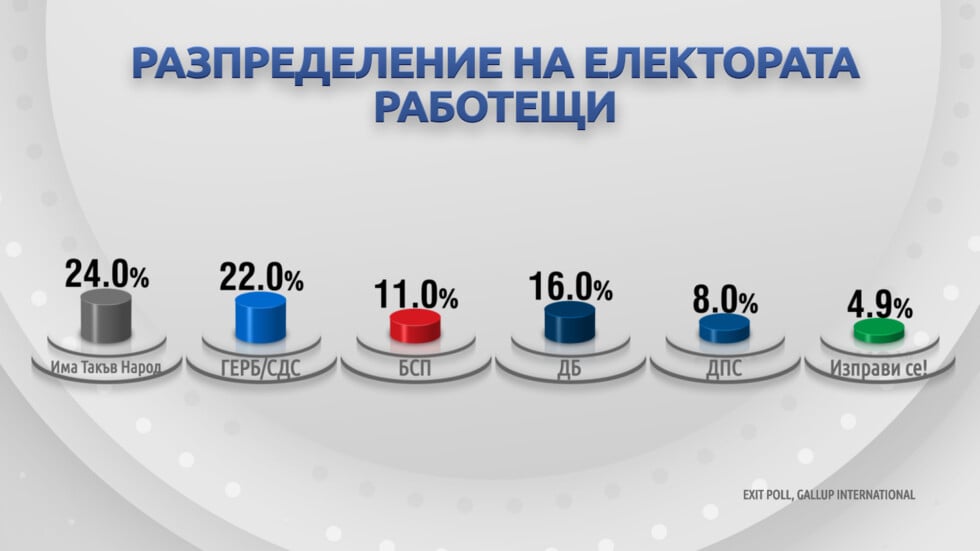 Демография на вота: Как гласуваха българите?