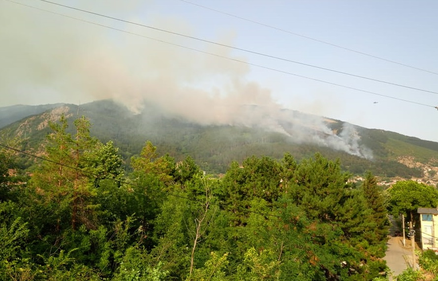 Последни новини за пожара в Твърдица