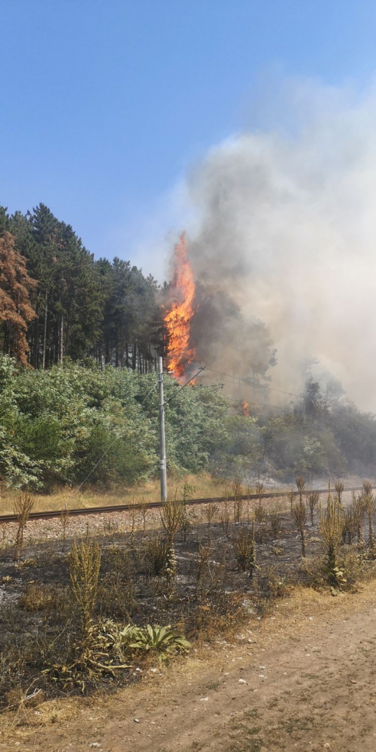 Пожари бушуват в Централен Балкан, огнеборците на крак СНИМКИ