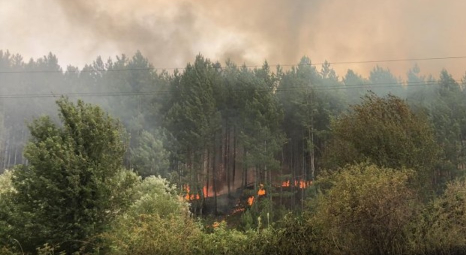 Огромен пожар бушува над Перник, стихията вече е близо до София СНИМКИ