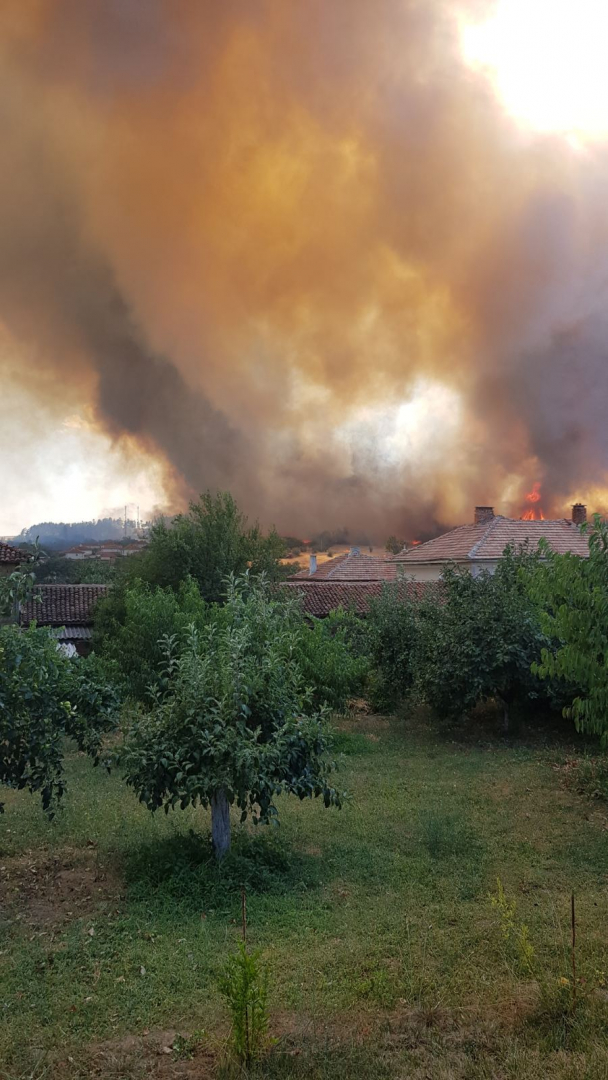 БЛИЦ TV: Страшен пожар се вихри в Хисарско, може да пламнат крайните къщи на Старосел