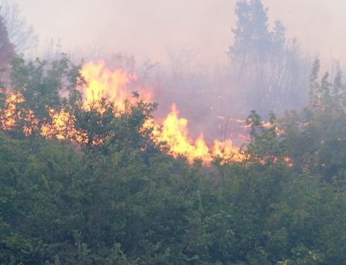 Стана ясно кои са загиналите лесничеи в огнения ад край Сандански 