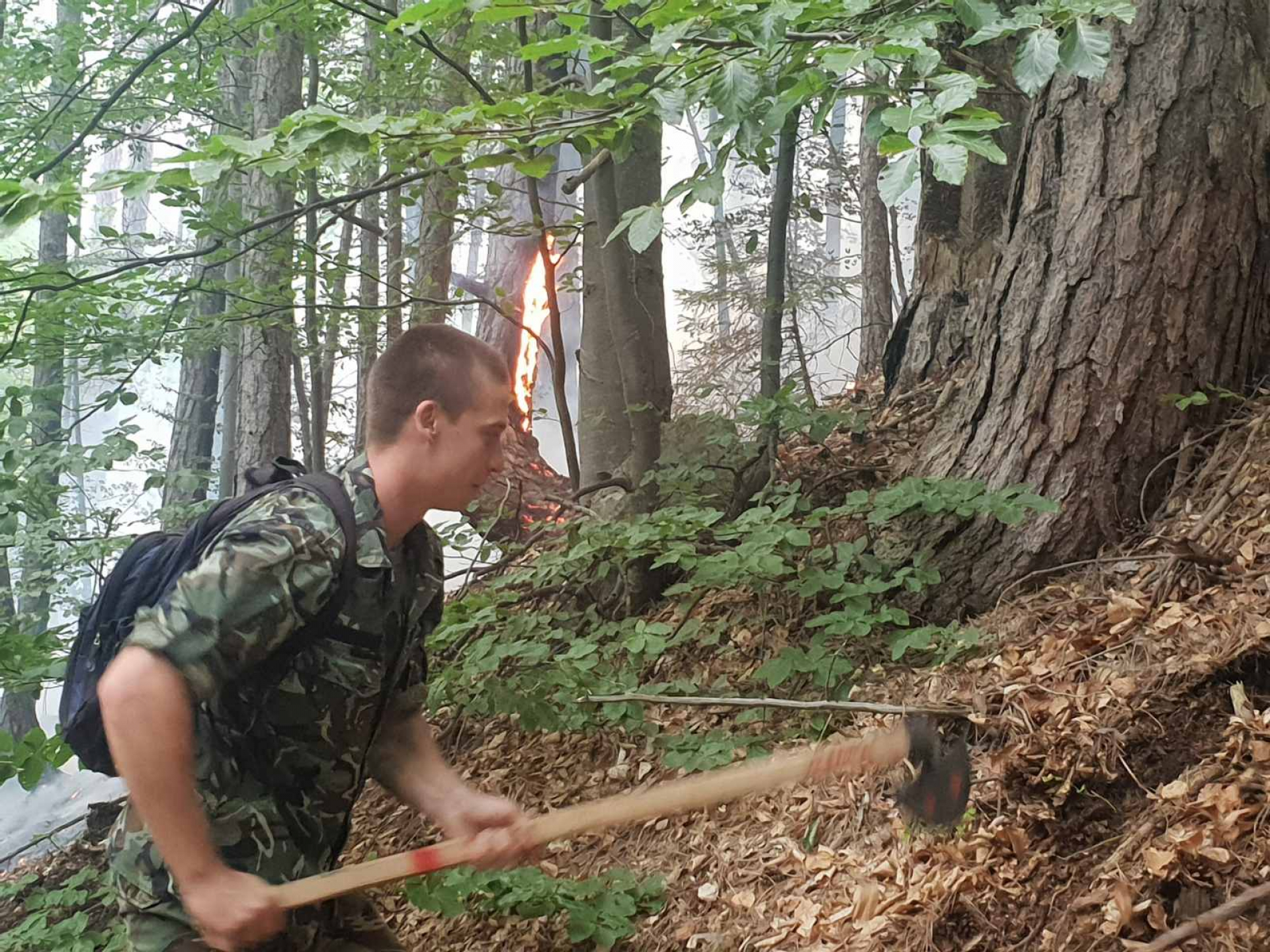 Показаха със СНИМКИ борбата с пожара в с. Югово 