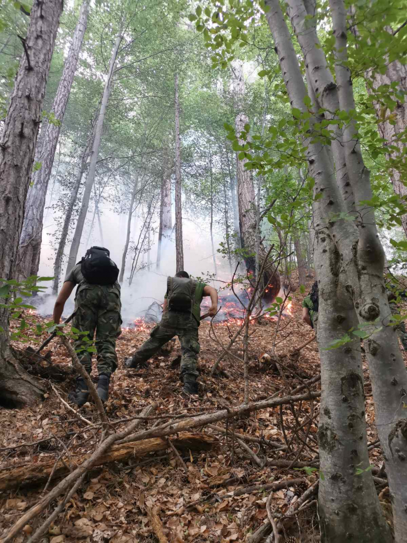 Показаха със СНИМКИ борбата с пожара в с. Югово 