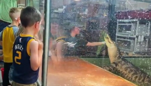 Ужасяващо ВИДЕО 18+: Алигатор захапа жестоко жена пред очите на деца