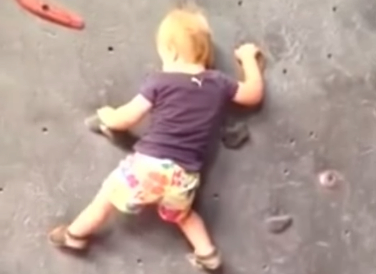 Малък паяк: Бебе се изкачва само по стена за катерене ВИДЕО
