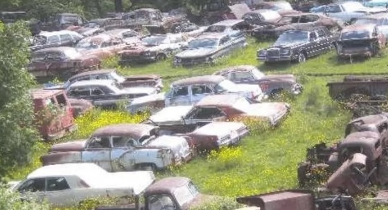 В полето откриха около хиляда изоставени автомобила СНИМКИ